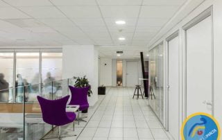 ACE Malta Dil Okulu 54 ACE Malta Dil Okulu 54