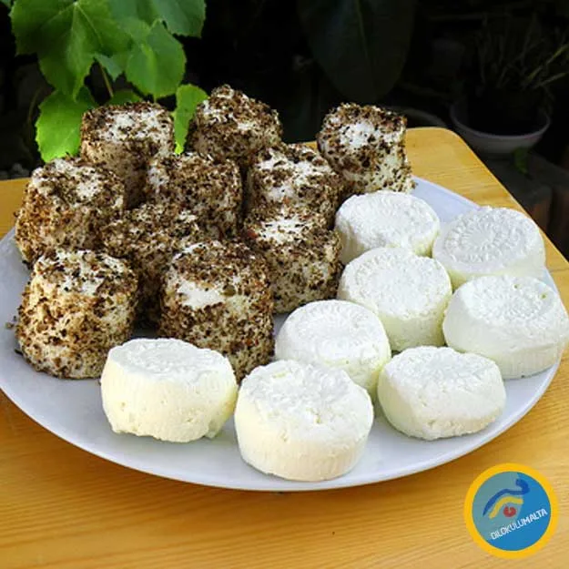 Geleneksel Malta Yemekleri Gbejniet