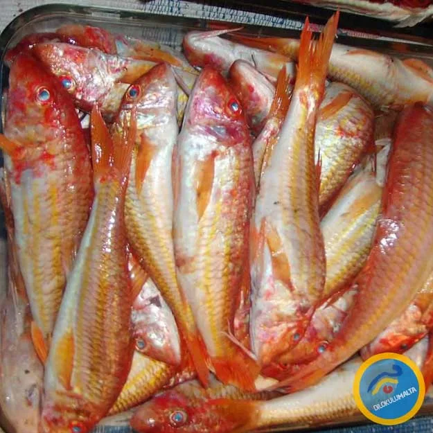 Geleneksel Malta Yemekleri Trill ta Malta