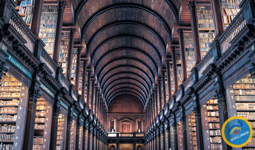 Irlanda work and study