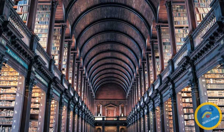 Irlanda’da Work and Study Irlanda work and study