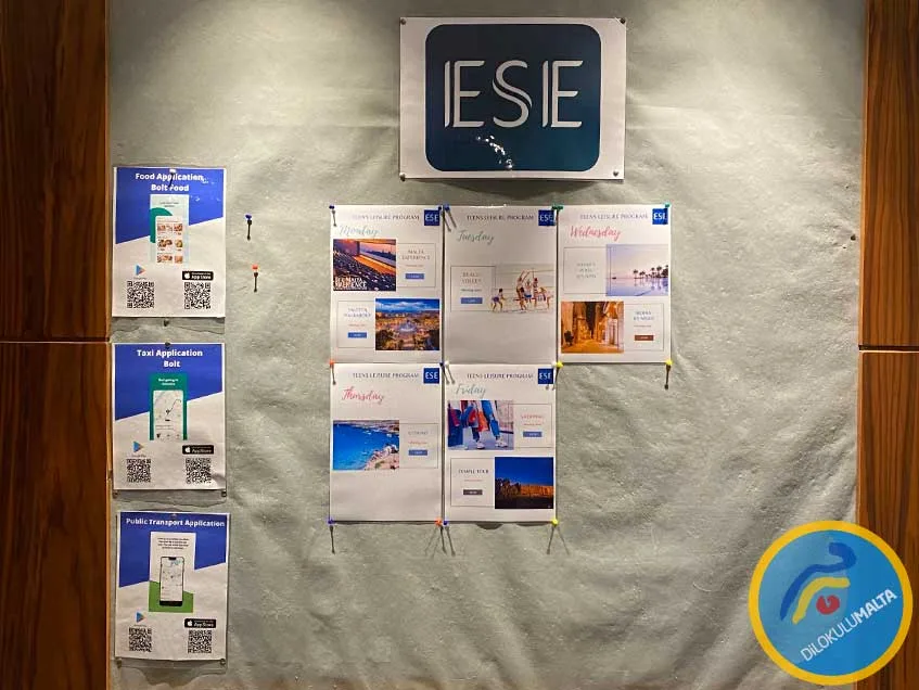 ese malta aktivite programı ese malta aktivite programi