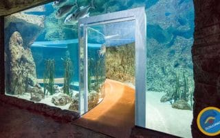 ese malta yaz okulu aquapark