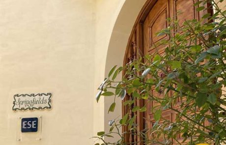 Springfields House Apart Konaklama Giriş