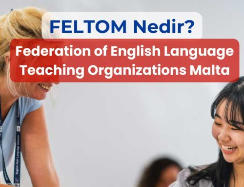 FELTOM Nedir? Malta Dil Okulları ve FELTOM İlişkisi
