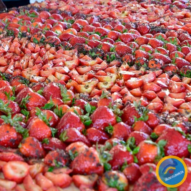 Malta Çilek Festivalinden Bir Festival