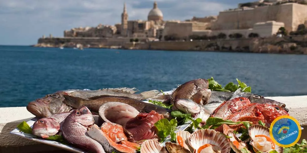 malta kafeleri waterpolo club tax