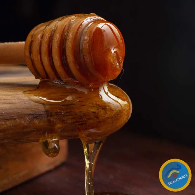 Malta Kelime Anlamı: Bal malta kelime anlami bal