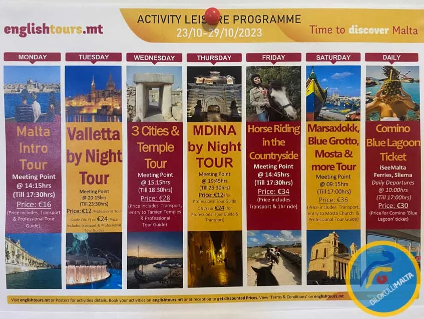 malta üniversitesi aktivite programı malta universitesi aktivite programi