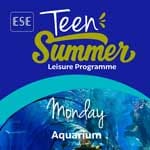 Malta Yaz Kampı Örnek Aktiviteler