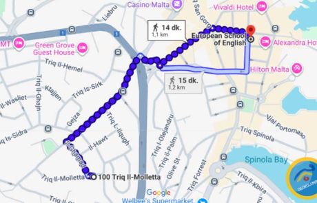 Springfields House Apart Konaklamadan ESE Malta'ya Nasıl Gidilir