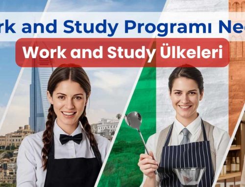 Work and Study Programı Nedir? Work and Study Ülkeleri (2025 Güncel)